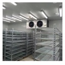 Evaporative Cooler Fish Cold Storage Room 10000Tons Build Cold Room Freezers Energy-saving Industrial Cooling Systems