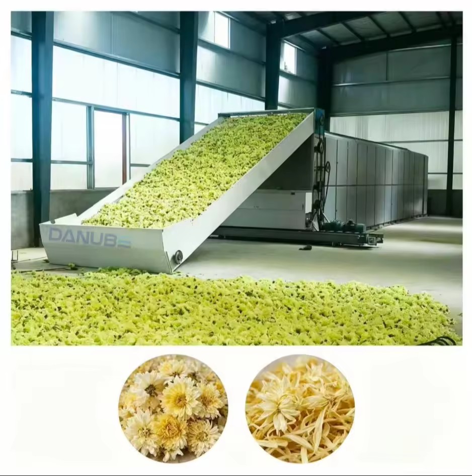 Continuous Mesh Belt Drying System Industrial Conveyor Dryer For Onion Hawthorn Slice Fruit Vegetable Processing