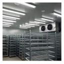 Large Cold Storage Warehouse Energy Saving Project Supply Chain Refrigeration Commercial Freezer Walking Cooler Container