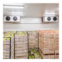 Standard Cold Storage Walk-In Refrigeration Chamber Daikin/Copeland Compressor Energy Saving Air Cooled Cooling System