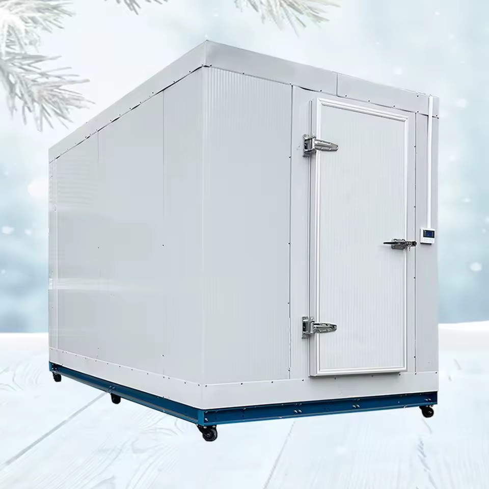 25 Degree Factory Price Cold Storage Room Fish Meat Vegetables Walk in Cooler Cold Room Food Cooling Storage Chamber