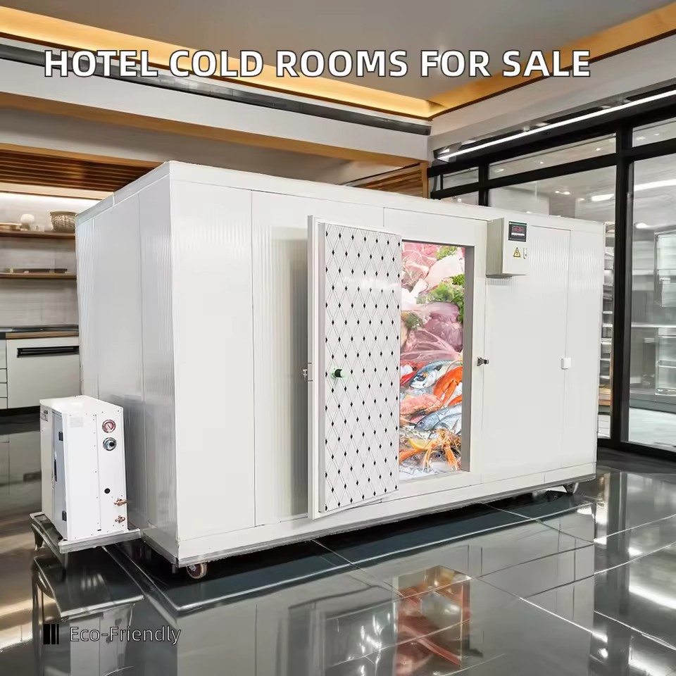 Efficient Easy Solar Air Cooled Cold Room Supplier Blast Freezer Copeland Compressor Motor Pump Seafood Storage Long Service