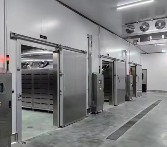 Constant Low Temperature Automatic Motor Solar-Powered Large Meat Cold Storage One Stop Construction for Frozen Seafood and Meat