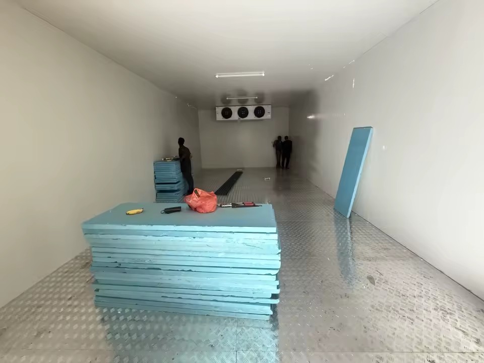 Cold Storage Freezer Room Custom Dimension for Logistics Food Processing