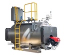 8T New Horizontal Fire Tube Natural Circulation Low Pressure Oil Gas Fired Dual Fuel Industrial Steam Boiler High Efficiency