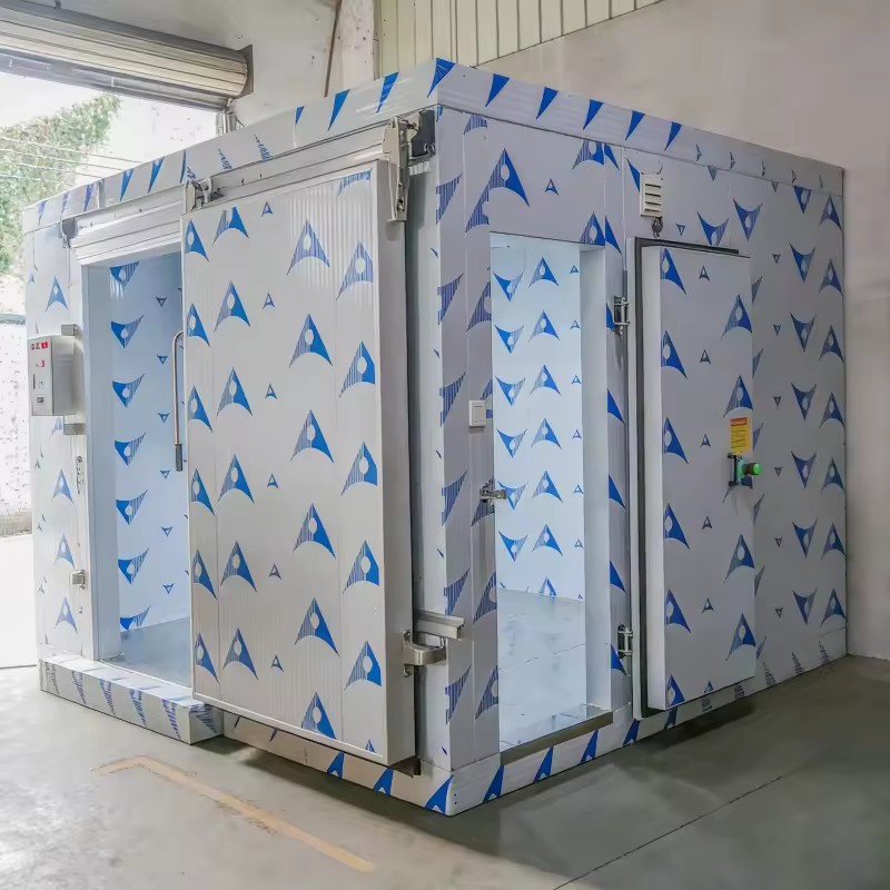 Small Size Portable Walk in Cold Storage Room Price Refrigerated Cold Room for Meat Fish Fruits and Vegetables