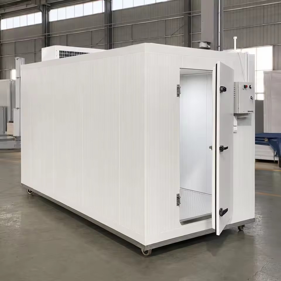 Cold Storage Room Complete Set for Food Storage with PU Panel and Complete Refrigeration System