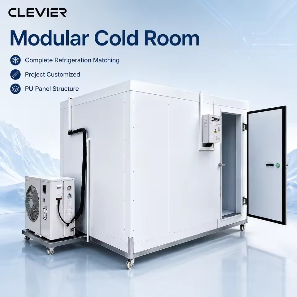 Industrial Cold Room Freezer for Meat Processing Plant with Bitzer Condensing Unit and Low Temperature System