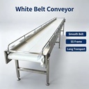 High Durability Industrial Conveyor System Energy Efficient Goods Transport Machinery for Mass Production