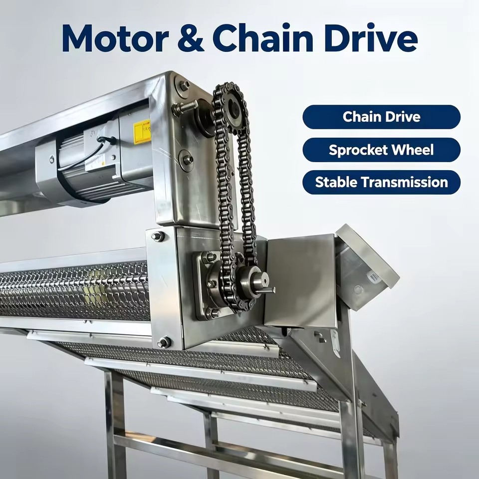 Universal Industrial Conveyor System Multiple Structure Optional For Automated Sorting And Processing Line