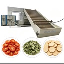 Industrial Continuous Mesh Belt Drying Line PLC Automatic Peanut Grain Vegetable Dehydrator Equipment