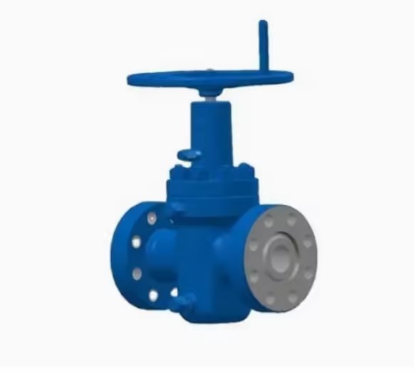 API 6A 5000 Psi Cast Gate Valve for High Temperature Oil Processing Well Control Tools