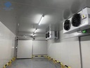 Customized Solar Cold Room Supplier with Motor & Pump Air Cooled Refrigeration Machine for Meat Vegetable Storage Easy Operation