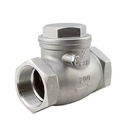 CF8 316 BSP NPT Thread End Wenzhou Industrial Chek Valve Stainless Steel Swing Check Valve