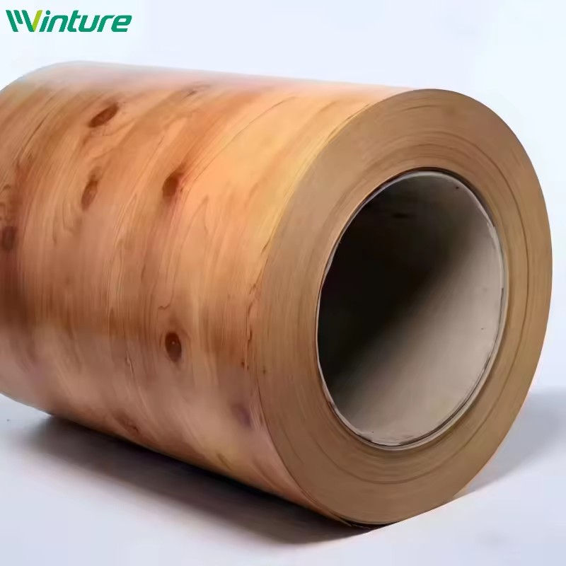 Best Quality Ppgi Coil Color Coated Galvanized Steel Coil For Construction Project Distributor