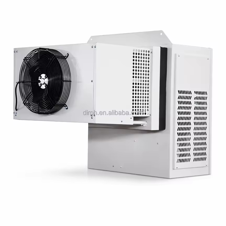 Compact 110V 220V 60Hz Condensing Unit for Meat and Poultry Cold Storage Freezer