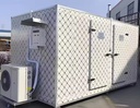 Customized High Efficiency Walk-In Freezer Cold Room 150mm Panel Thickness Energy Saving Solar Integrated Copeland Compressor