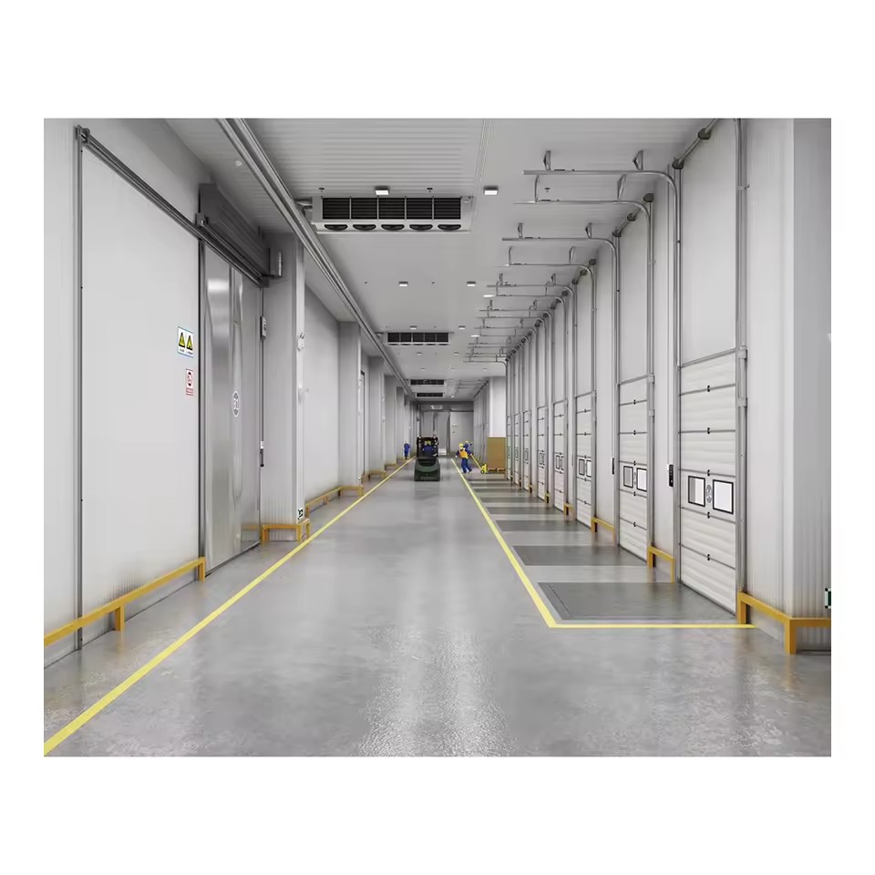 Large Scale Logistics Blast Freezer Room Cold Room for Seafood Meat