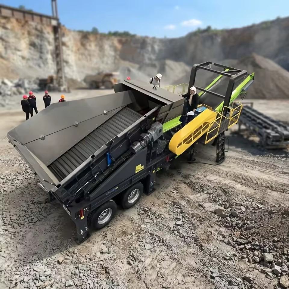 Custom TIANHE 100t/h Portable Jaw Crusher with PLC and Gearbox for Coal Mining and Stone Processing