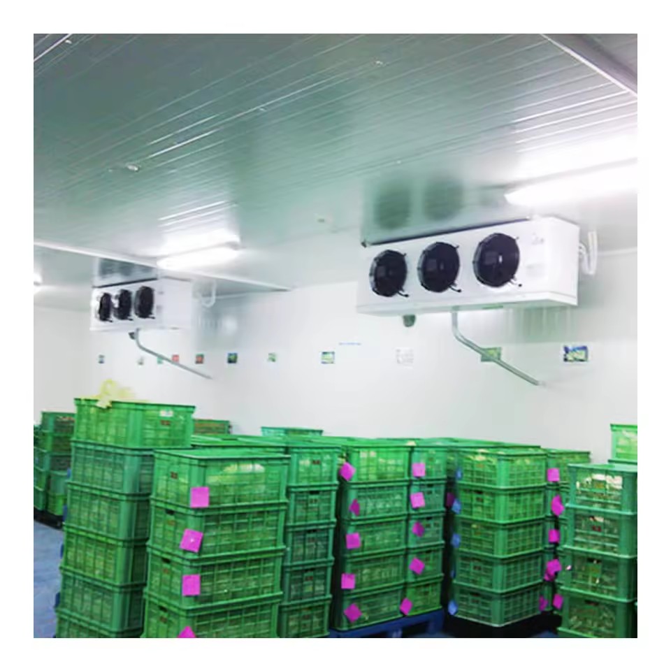 Factory Price Multifunctional Cold Room Storage for Ice Cream and Meat Large Scale Cold Room