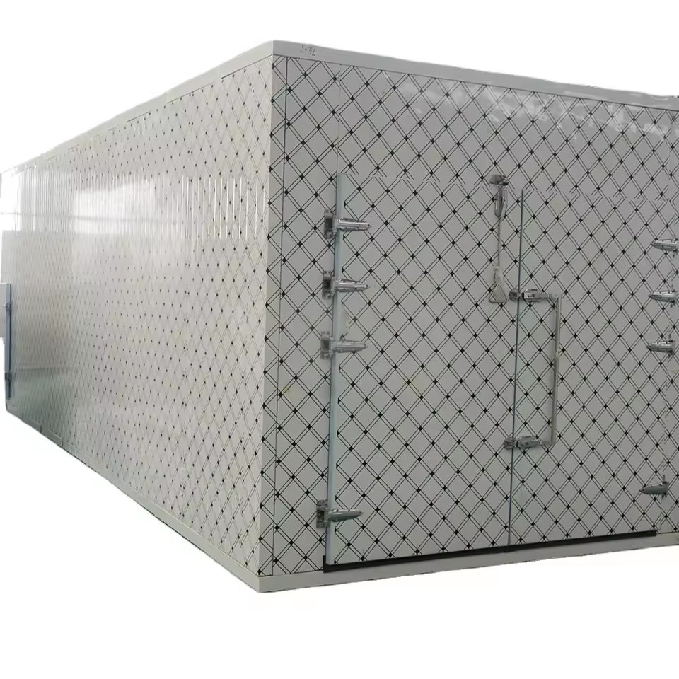 Low Price Energy Saving Hitachi Compressor Container Banana Chamber Ripening 10 Tons Cold Storage