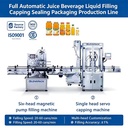 Fully Automatic Electric Motor PLC High Precision Beverage Liquid Filling Machine for Plastic Metal Glass Canned Bottles Cooking