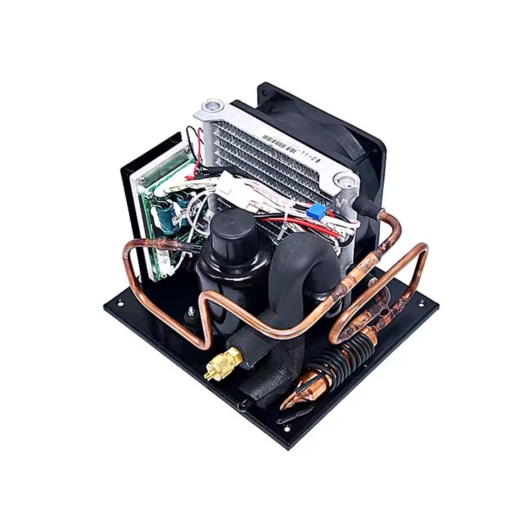 FS Dc 12/24v Small Mini Condensing Unit 350W Rotary Compressor Energy Saving Eco-Friendly