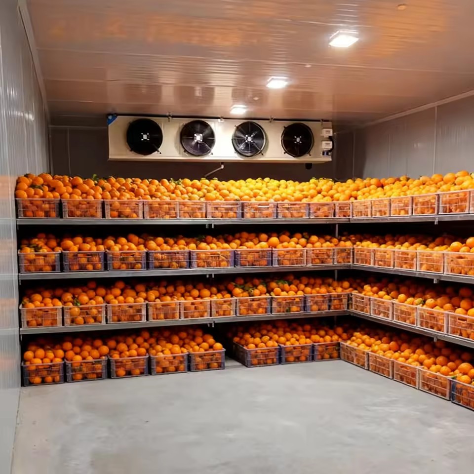 Large Scale Cold Storage Room for Food Processing Plant Industrial Customizable Large Cold Storage
