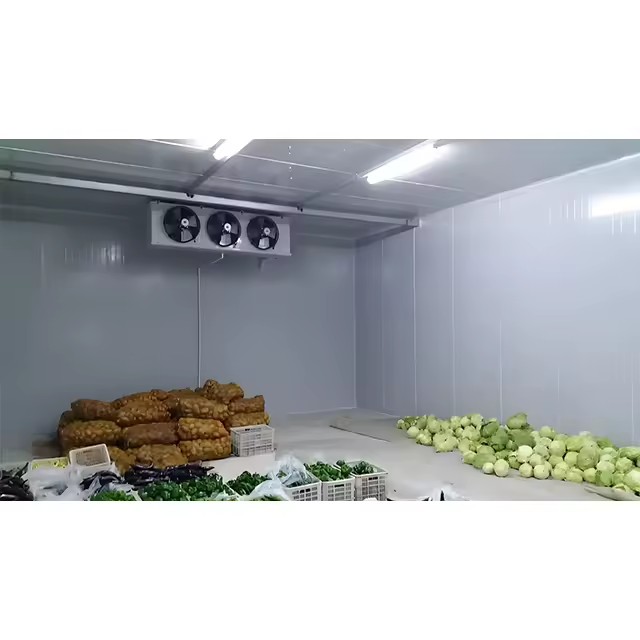 Custom Blast Freezing Cold Storage Room Branded Compressor for Seafood Meat Rapid Freezing Storage
