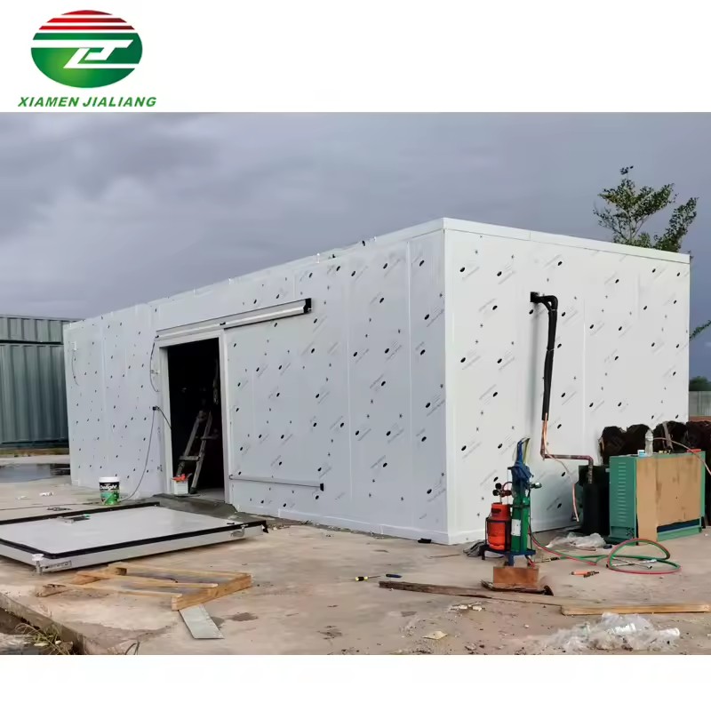 Chambre Froide Walk in Cold Room Freezer Cold Room Equipment