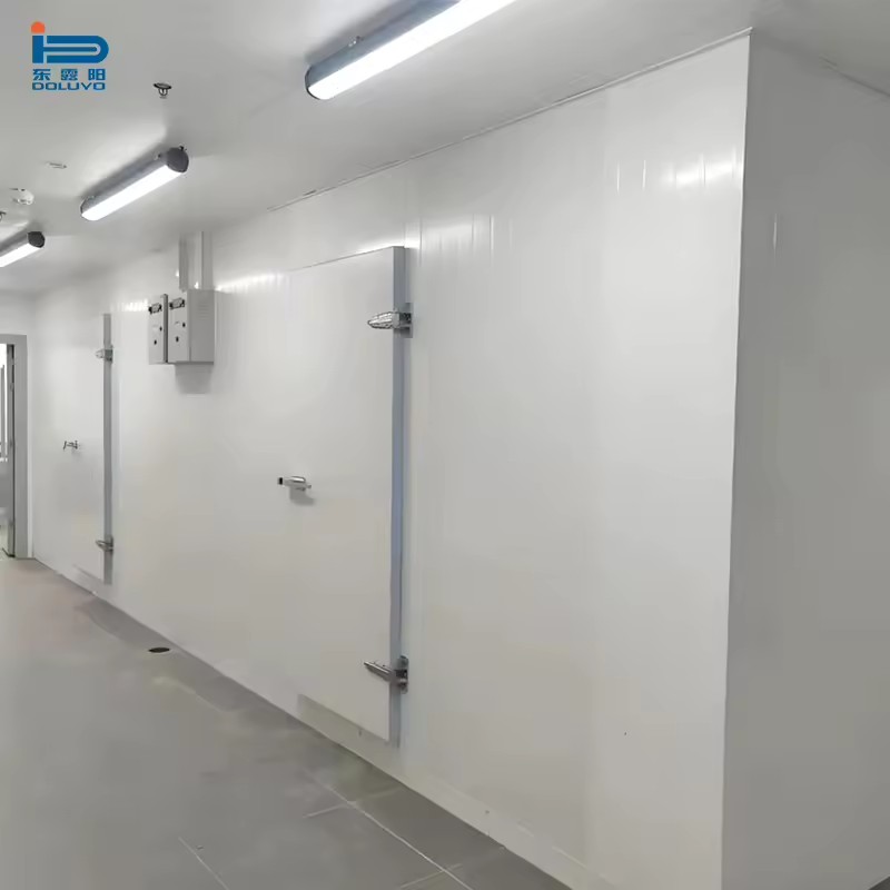 Ultra-Low Temperature Cold Room (+25C to -45C) with Copeland Heavy Duty Compressor for Frozen Foods Ice Cream Storage (New)