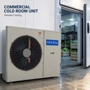 Low Temperature Monoblock Condensing Unit for Deep Freezer Cold Storage Frozen Chicken Beef Fish and Ice Cream Applications