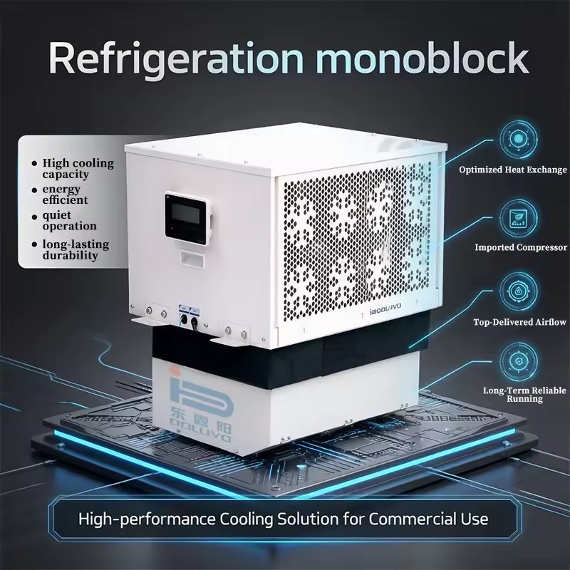 Single Phase 220V Monoblock Refrigeration Unit Rotary Compressor Eco-Friendly R-404A 1-3HP for Small Business Convenience Store