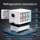 Single Phase 220V Monoblock Refrigeration Unit Rotary Compressor Eco-Friendly R-404A 1-3HP for Small Business Convenience Store