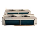 Ceiling Mounted Dual Side Blow Air Cooler Refrigeration Cooling Unit