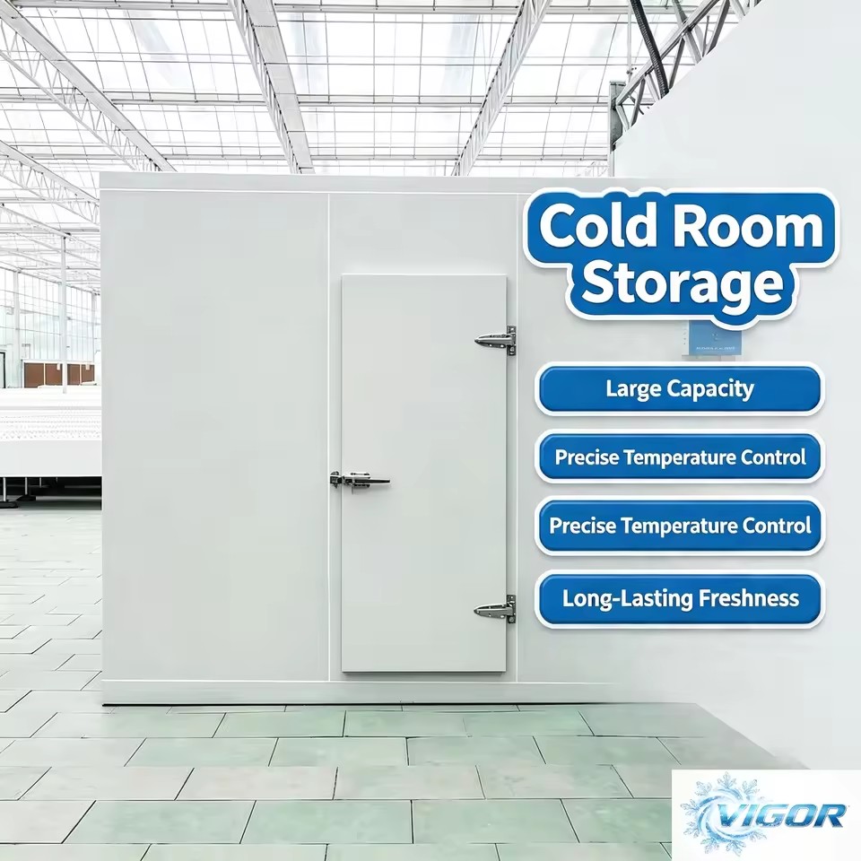 Modular Cold Freezer with Custom National Voltage for Professional Food Factory Refrigeration Preservation