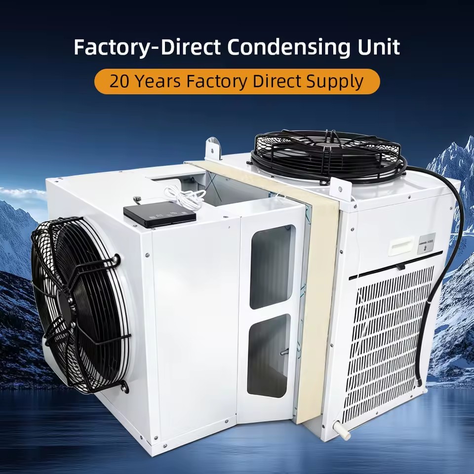 5HP Air Cooled Low Temp R404A Condensing Unit for Container Cold Room Freezer Energy Saving Factory Direct OEM