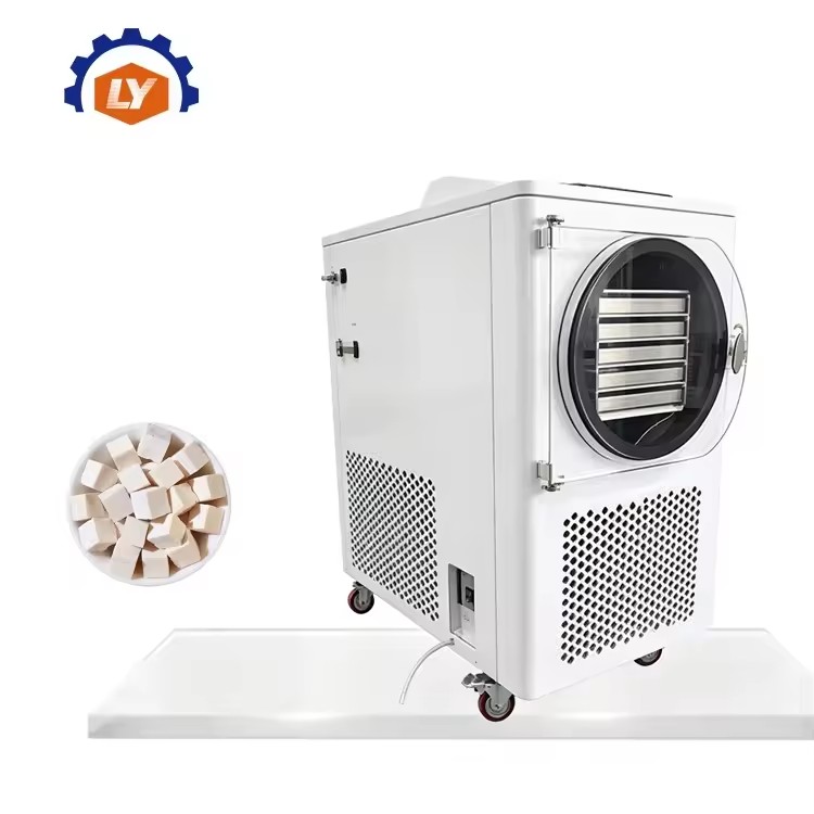 Cheapest Price Food Freeze Dryer Food Fruits Vegetables Vacuum Freeze Drying Equipment Freeze Dryer Food