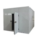 New High-Efficiency Refrigeration Equipment Small Size Commercial Walk in Freezer for Seafood Chicken