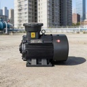 High Efficiency Industrial Grade Explosion-Proof Motor Three Phase AC Electric Motor for Continuous Duty Applications