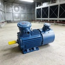 High Efficiency Asynchronous Induction Motor 55KW 75Hp 1490rpm 1450 Rpm OEM 3 Phase AC 220V Iron Housing Industrial Motor