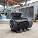 YE4/YE3 Series High-Efficiency 3kw AC Three-Phase Drive Asynchronous Motor 1-Phase YE3 IE3 AC Motor