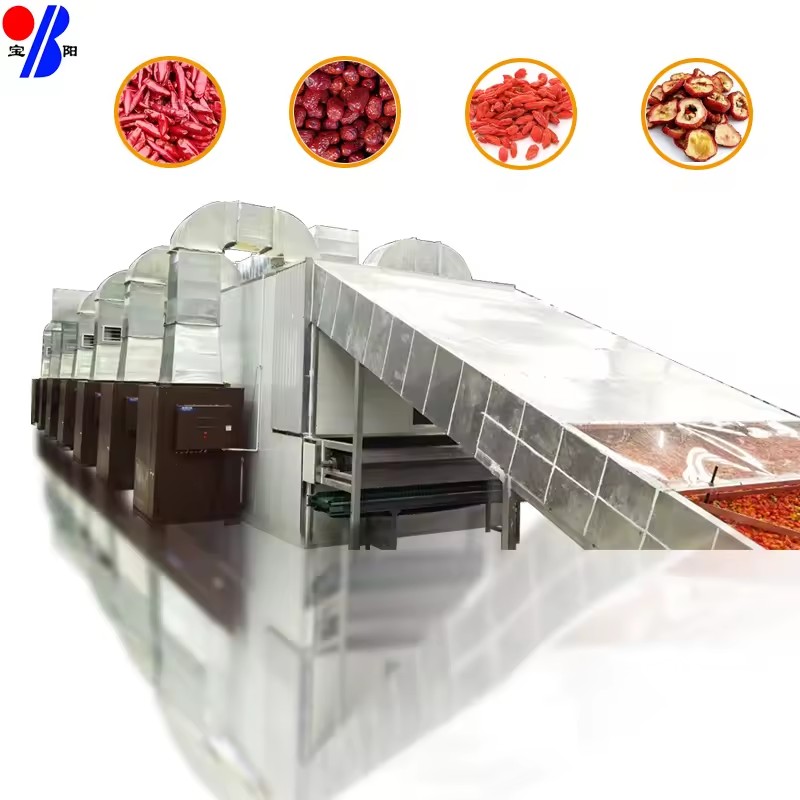 Orange Citrus Peel Apple Pomace Pectin Extraction Drying Line with Mesh Belt Dryer for Food Processing Bearing Energy Saving