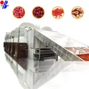 Industrial Rotary Gas Heated Gear PLC Controlled Fruit Vegetable Food Drying Machine for Carrot Mango Chips Dehydration