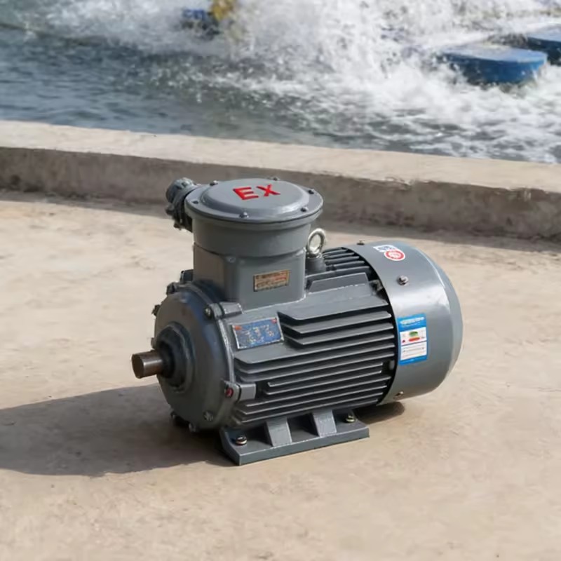 Factory Outlet 380V Three-phase Three-Phase Asynchronous Totally Enclosed Variable Frequency AC Motor 220V/380v Motor
