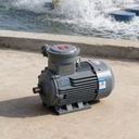 Factory Outlet 380V Three-phase Three-Phase Asynchronous Totally Enclosed Variable Frequency AC Motor 220V/380v Motor