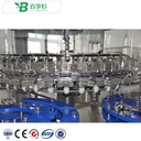 BS-Mineral Water Production Line/ Fully Automatic Glass Bottle Filling Machine for Small Business