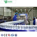 BS- Complete Water Production Line PET Bottle Drink Filling & Packaging Machine for Mineral Water & Beverages Wine Beer