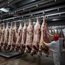 Slaughter House Refrigeration Equipment Meat Chilling Room Abattoir Cold Storage Meat Blast Freezer Quick Chill Cold Room