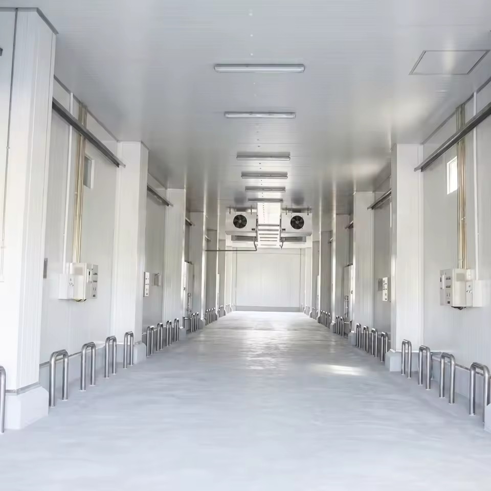 Professional Cold Room Freezer for Ice Cream and Frozen Desserts Storage Room